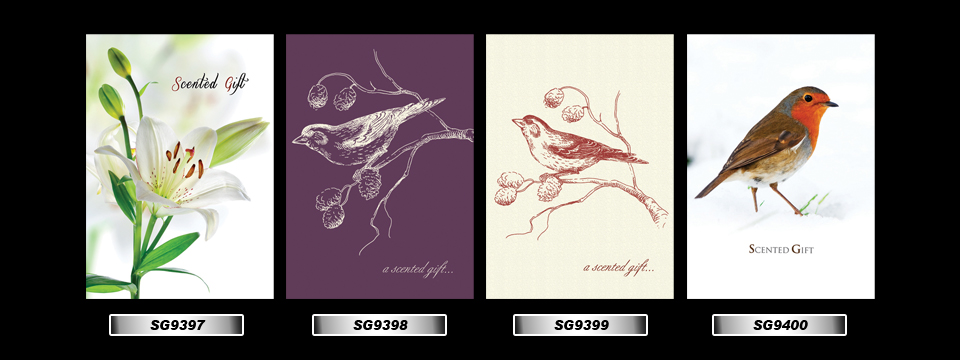 Set_10