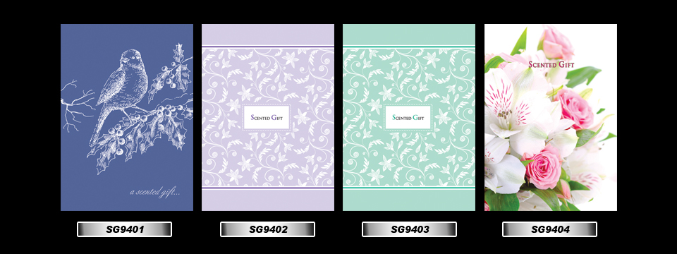 Set_11