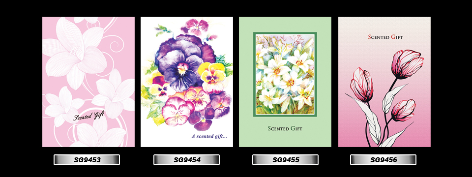 Set_24