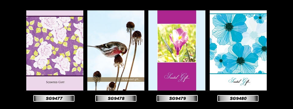 Set_30