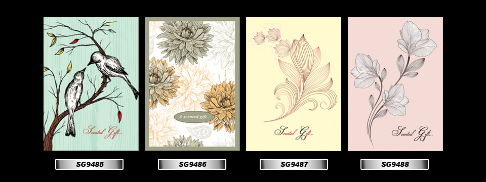 Set_32