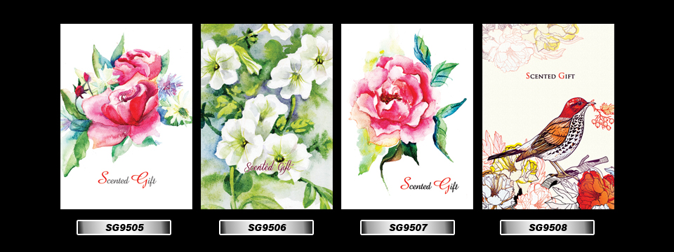 Set_37