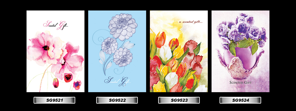 Set_41