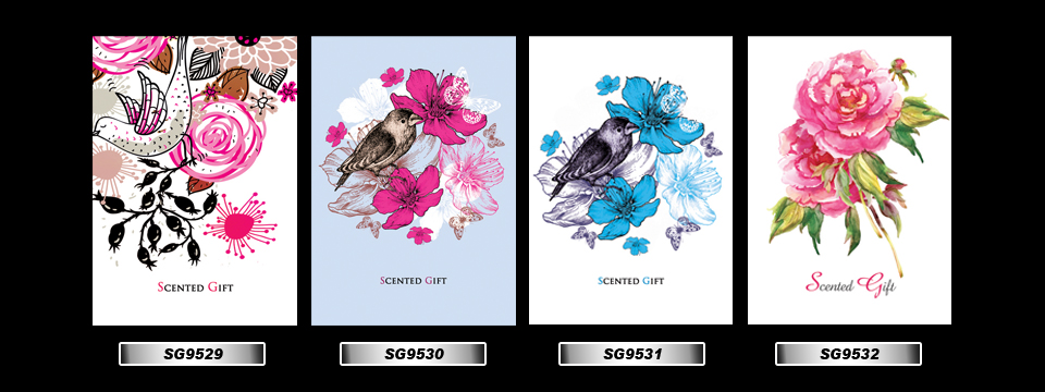 Set_43