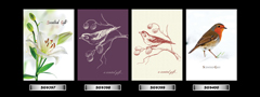 Set_10