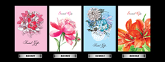 Set_36