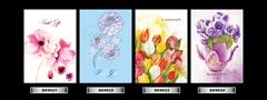 Set_41
