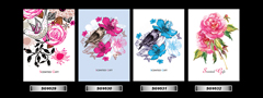 Set_43